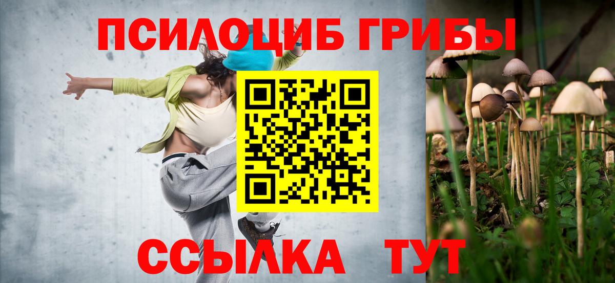 Псилоцибиновые грибы Psilocybine cubensis  дарнет шоп  Сертолово  Вход с VPN 