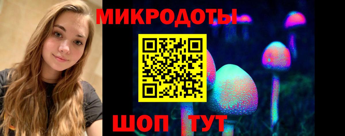 Псилоцибиновые грибы Psilocybine cubensis Сертолово